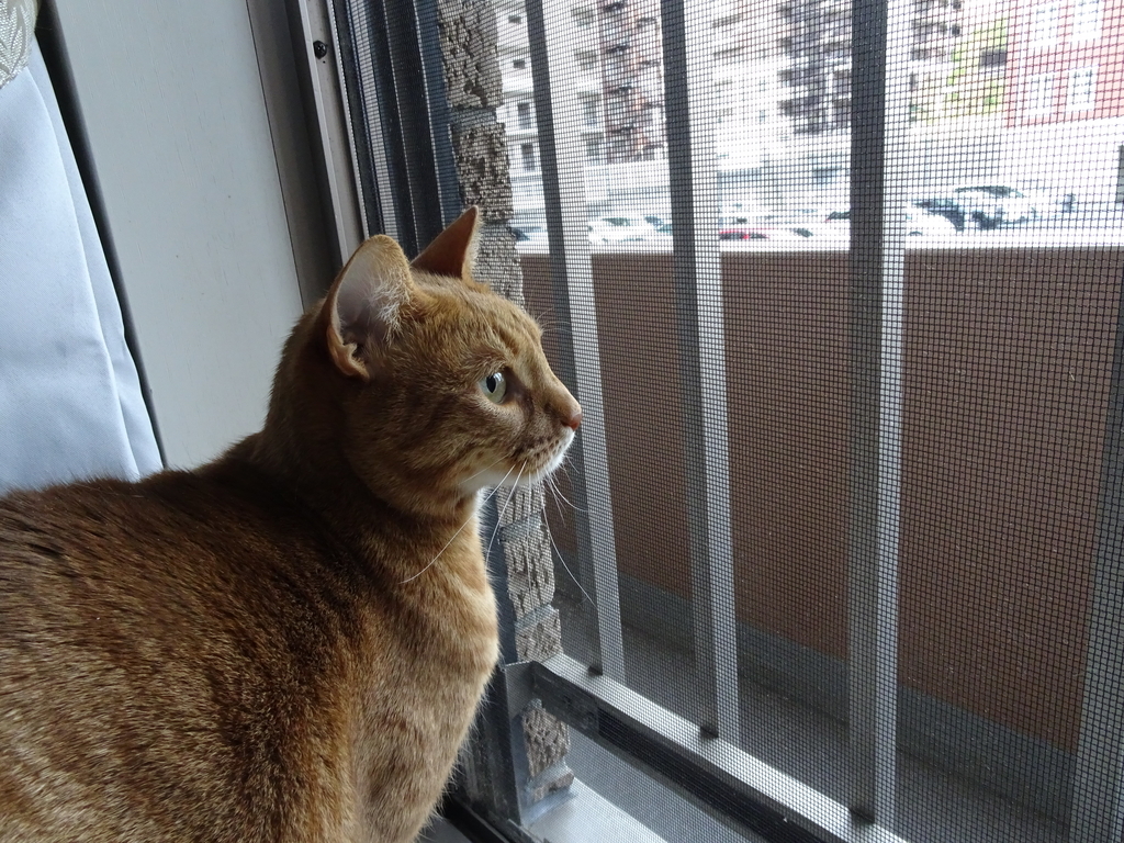f:id:hiro-beans-attack-no1:20190214185902j:plain