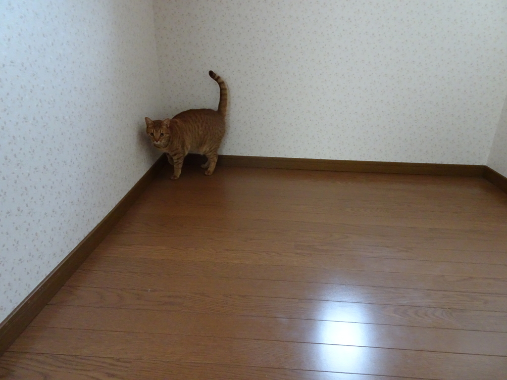 f:id:hiro-beans-attack-no1:20190302193917j:plain