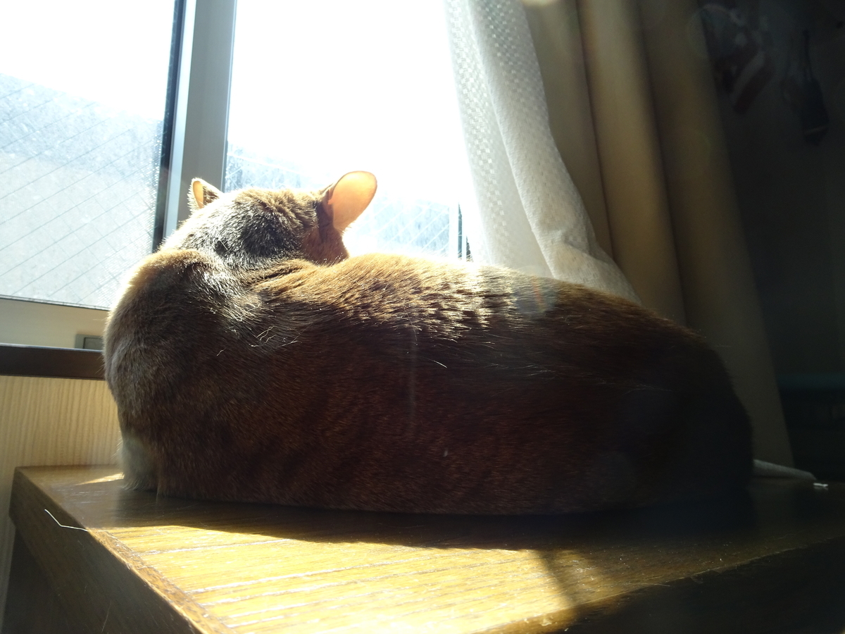 f:id:hiro-beans-attack-no1:20190325212204j:plain