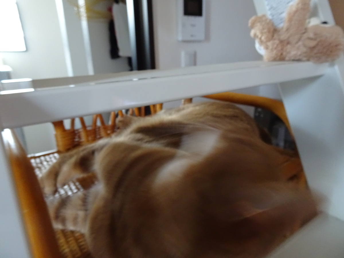 f:id:hiro-beans-attack-no1:20190406192130j:plain