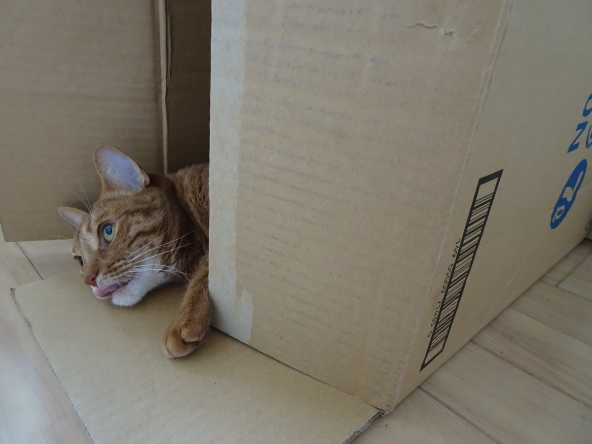 f:id:hiro-beans-attack-no1:20190530212401j:plain f:id:hiro-beans-attack-no1:20190530212401j:plain
