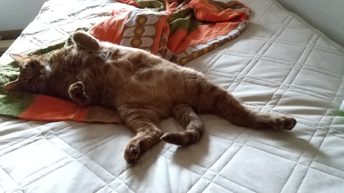 f:id:hiro-beans-attack-no1:20200711202628j:plain