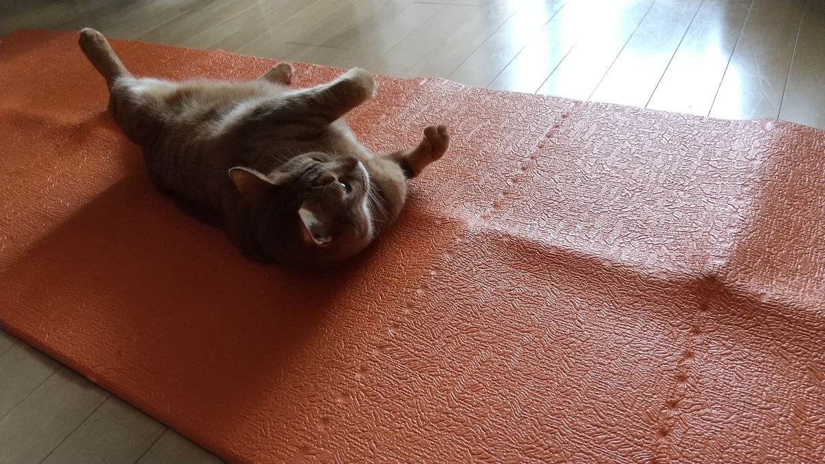 f:id:hiro-beans-attack-no1:20200711203227j:plain