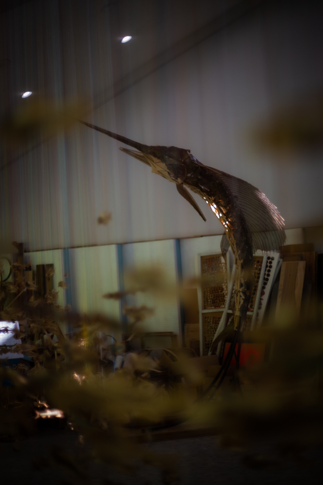 f:id:hiro-blo:20211122143309j:plain