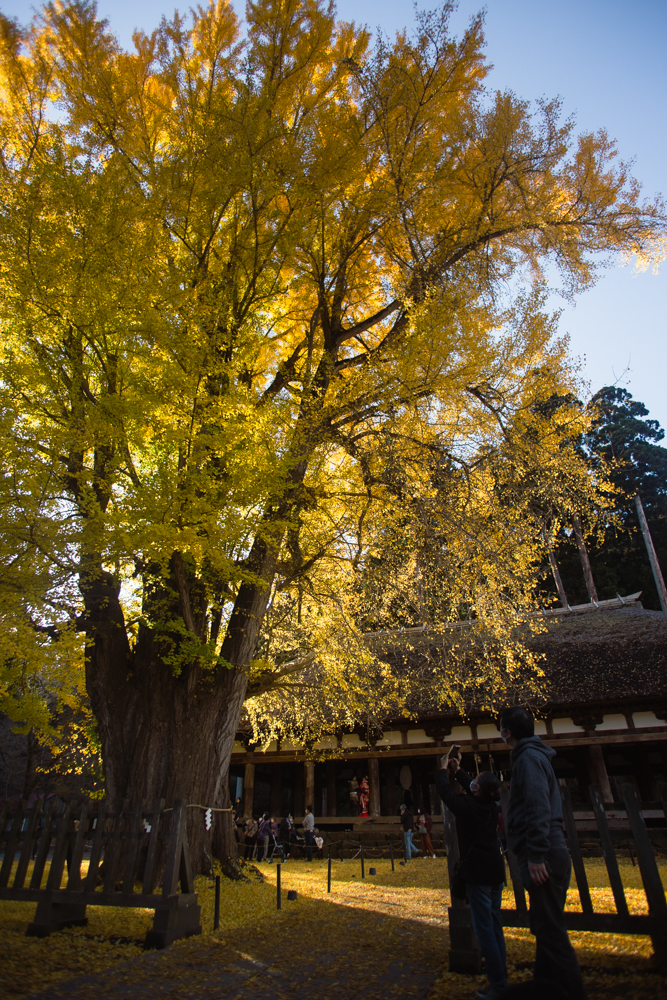 f:id:hiro-blo:20211122150732j:plain