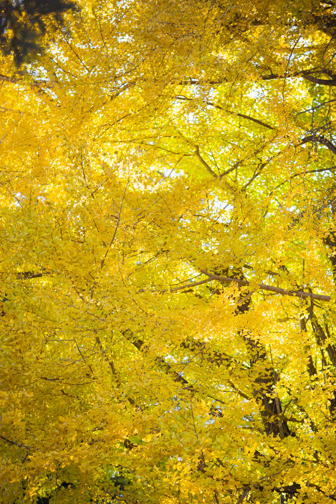 f:id:hiro-blo:20211122150911j:plain