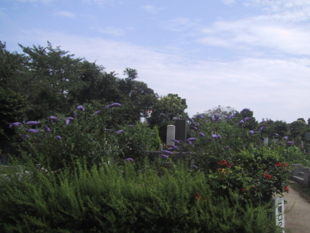 20040706140403