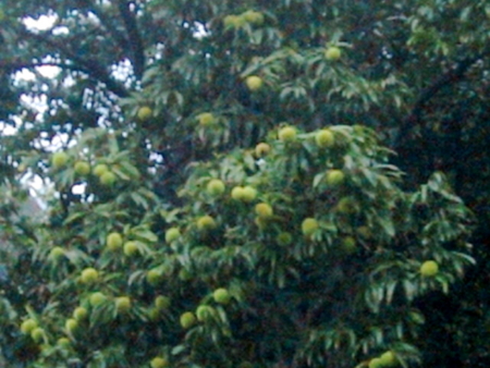 20040909161601