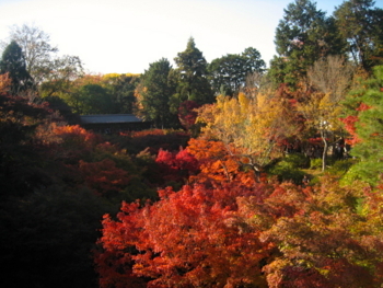f:id:hiro-jp:20121116145952j:image