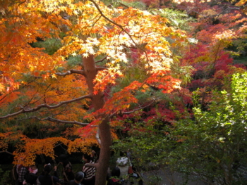 f:id:hiro-jp:20121116152325j:image