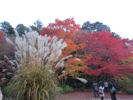 f:id:hiro-jp:20141127164609j:plain
