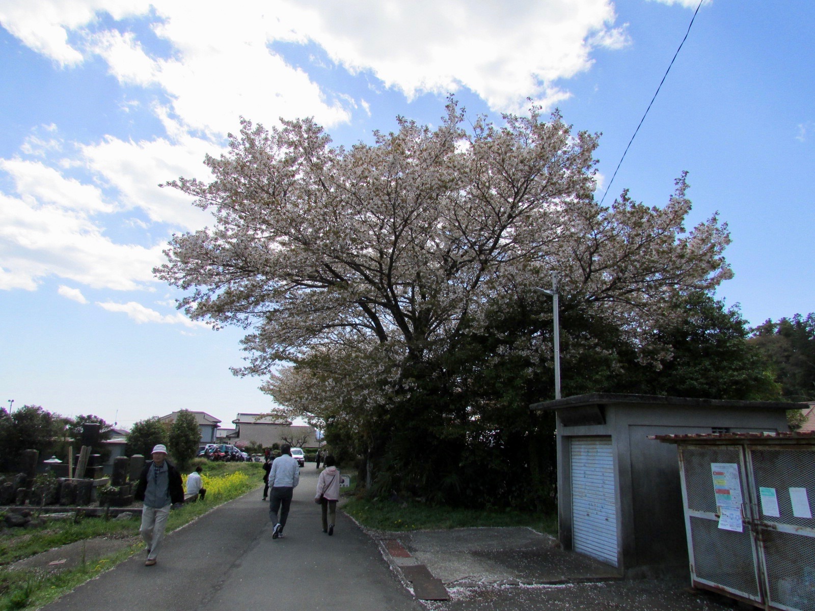 f:id:hiro-jp:20180408121201j:plain