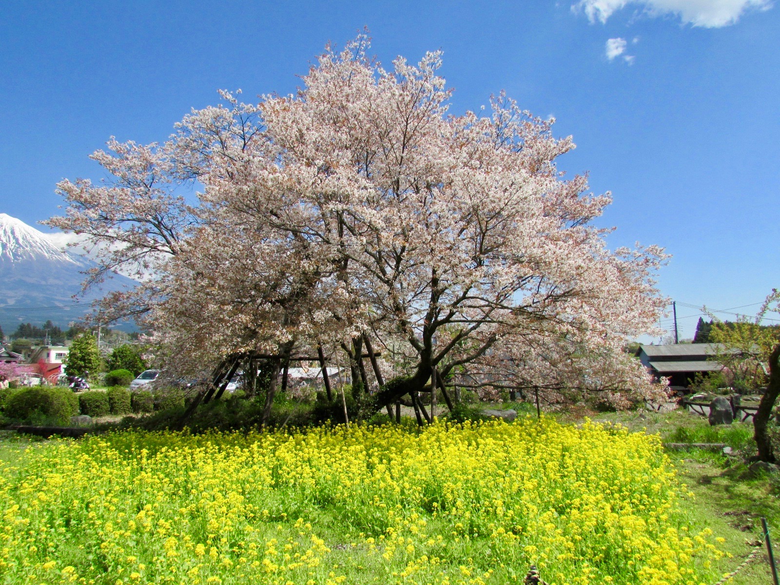 f:id:hiro-jp:20180408123643j:plain
