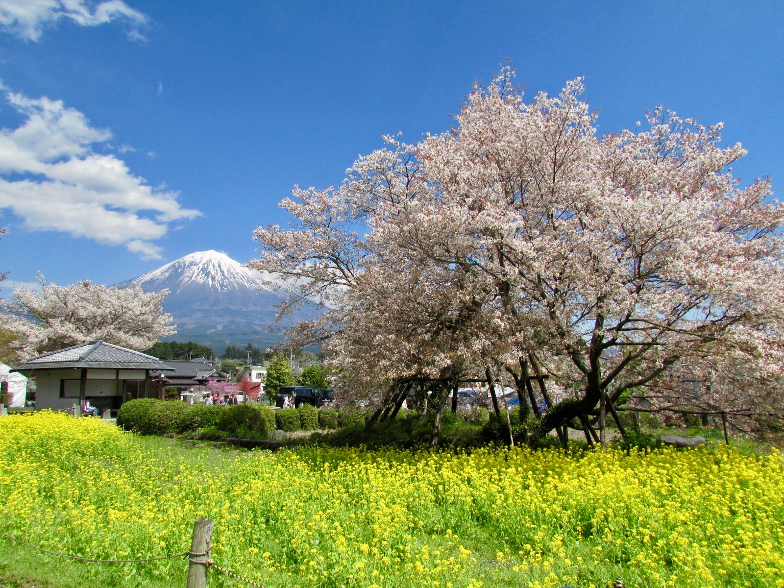 f:id:hiro-jp:20180408125157j:plain
