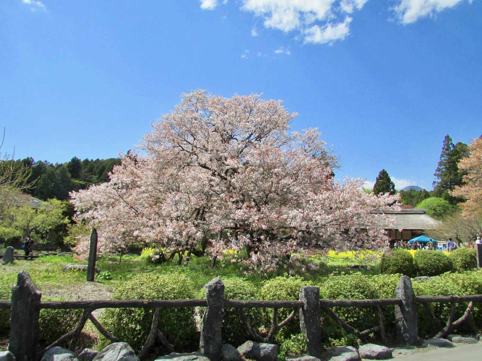f:id:hiro-jp:20180408125827j:plain