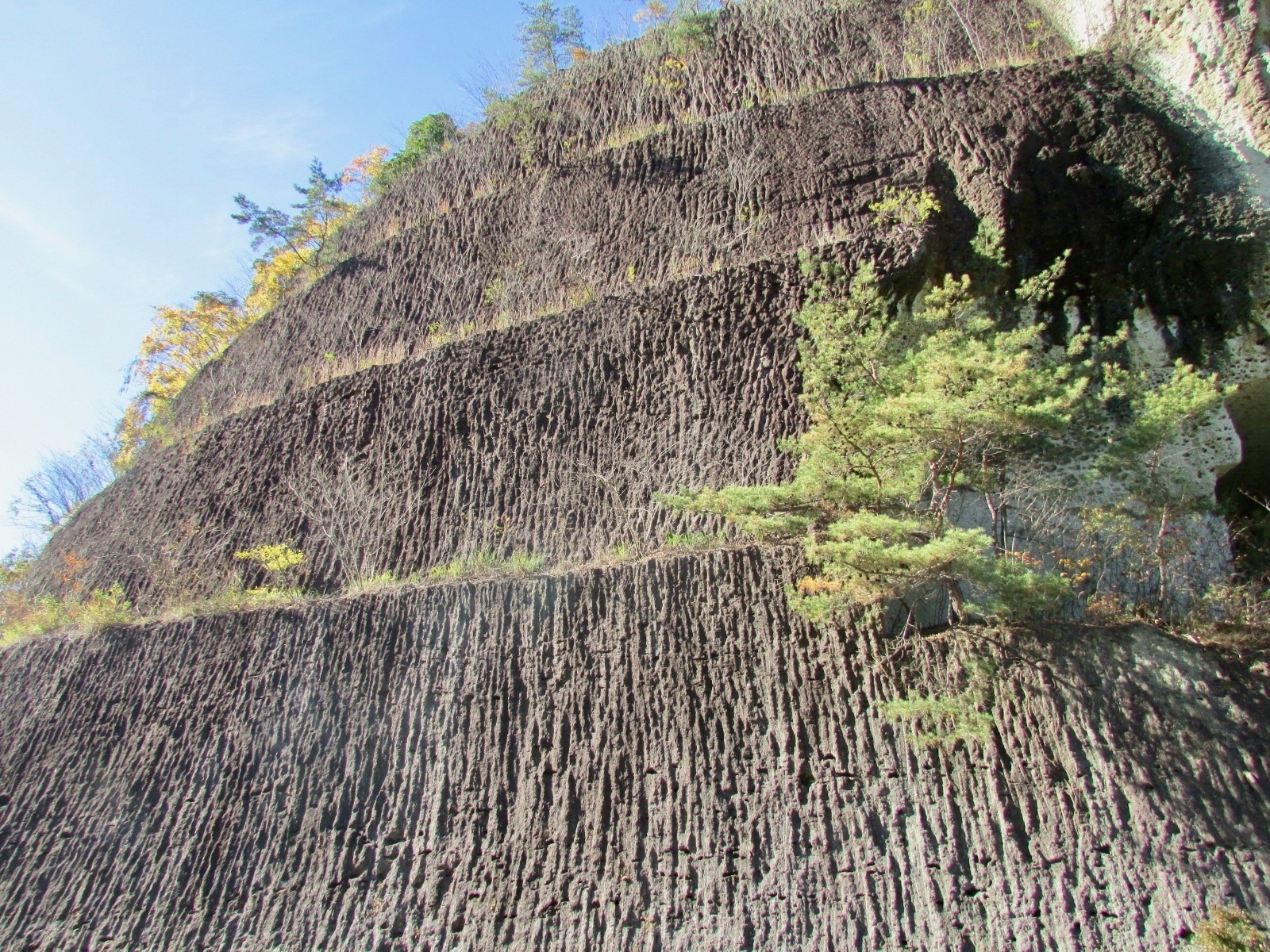 f:id:hiro-jp:20181124113115j:plain