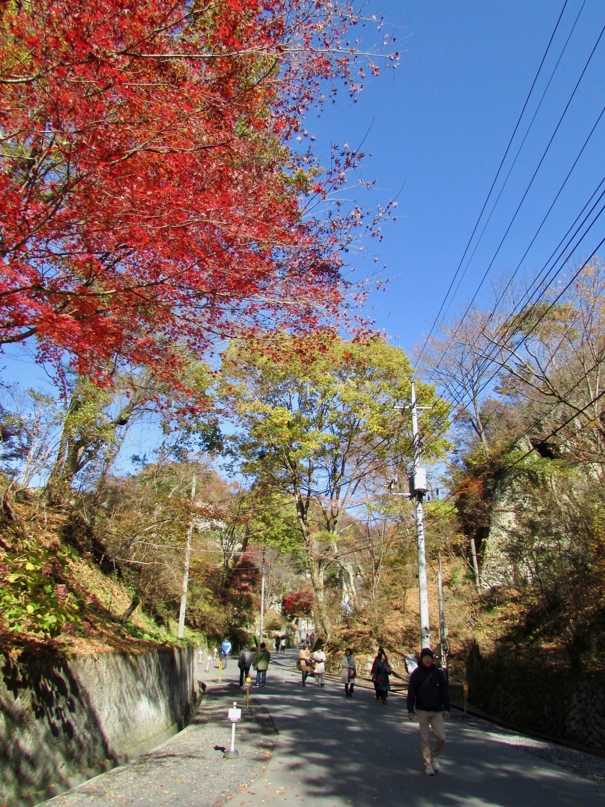f:id:hiro-jp:20181124113506j:plain