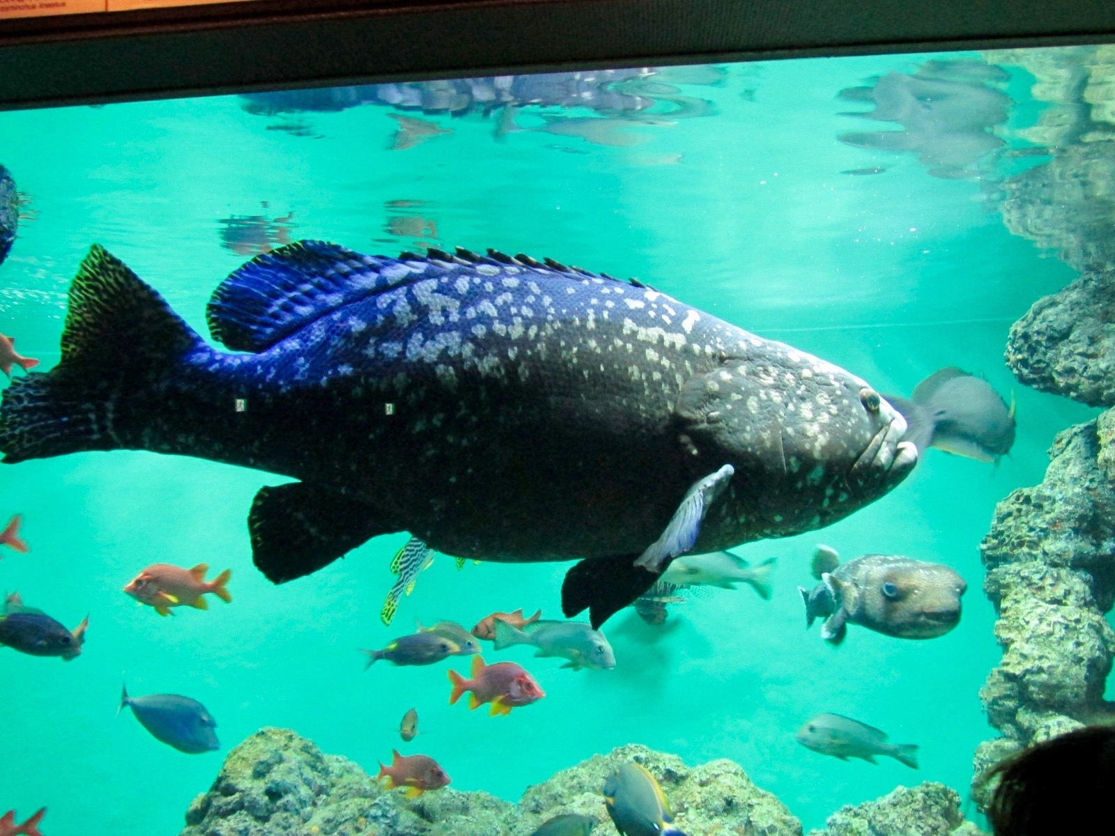 f:id:hiro-jp:20190224154351j:plain