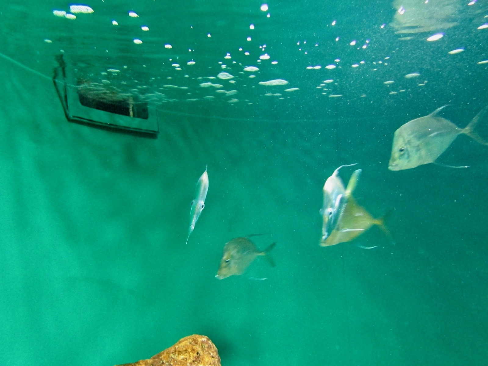 f:id:hiro-jp:20190224160636j:plain