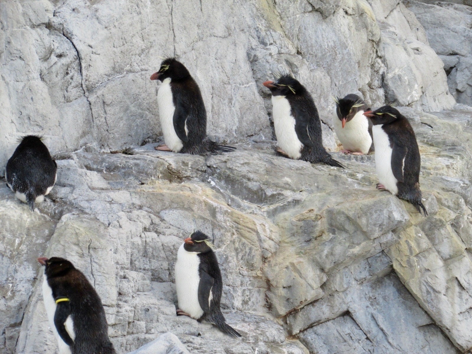 f:id:hiro-jp:20190224164343j:plain