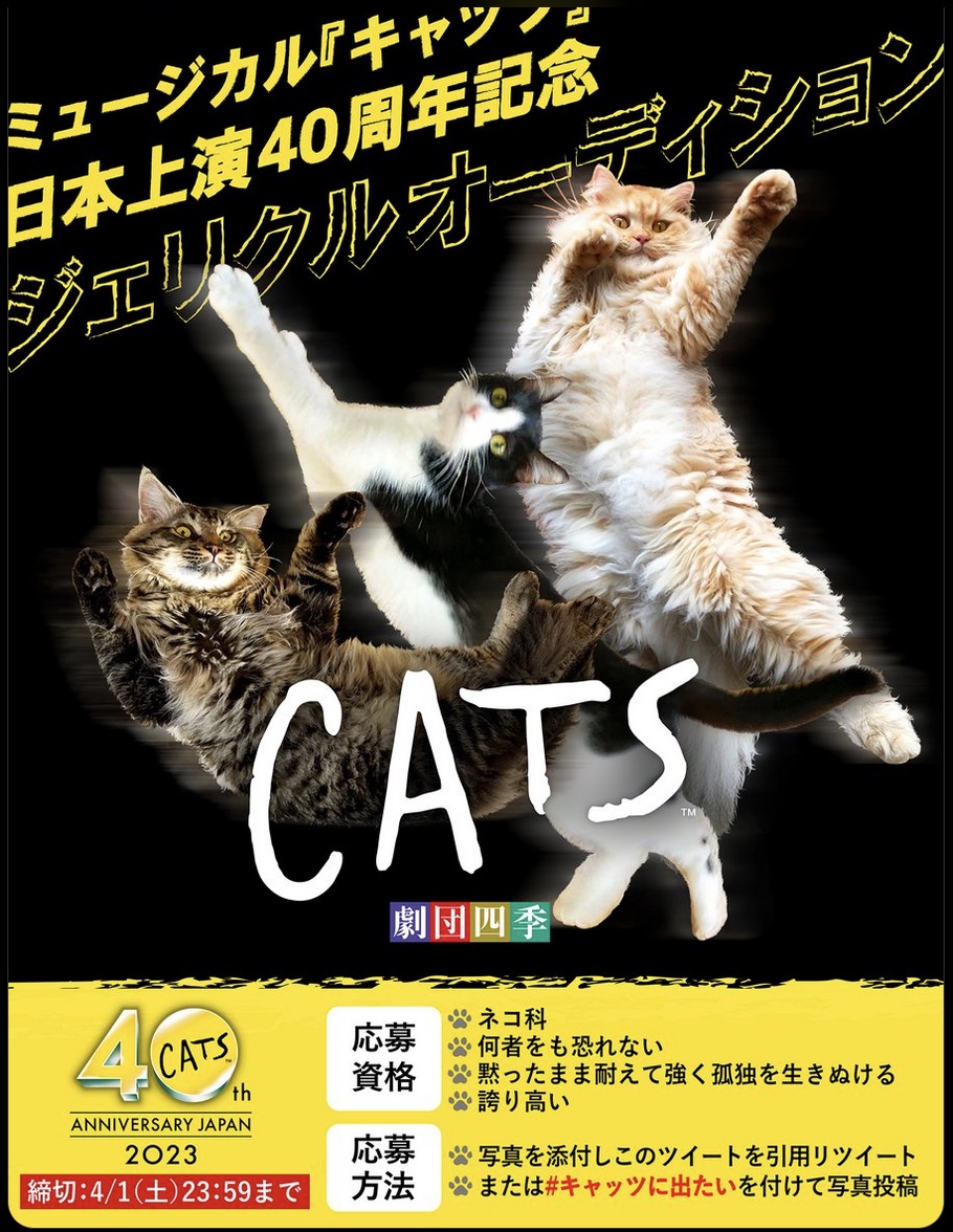 劇団四季 CATS フライヤー まとめて 100枚 劇団四季 CATS フライヤー まとめて 100枚 コレクション