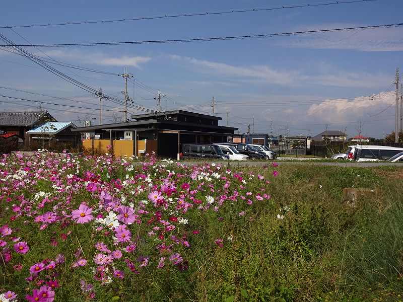 f:id:hiro-life:20191027223132j:plain f:id:hiro-life:20191027223132j:plain