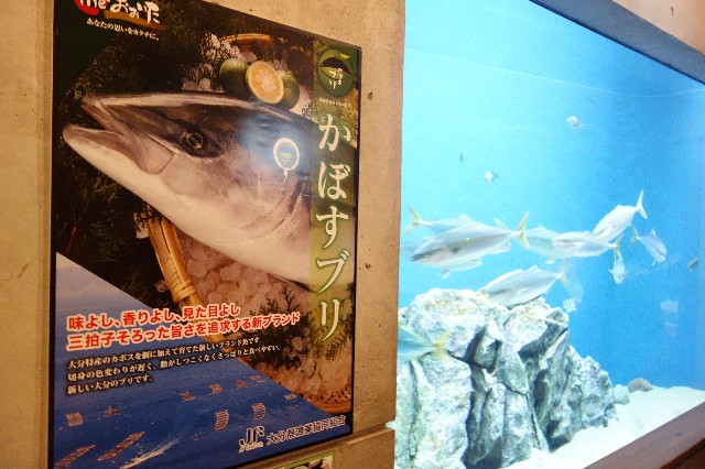 f:id:hiro-life:20230110210706j:image