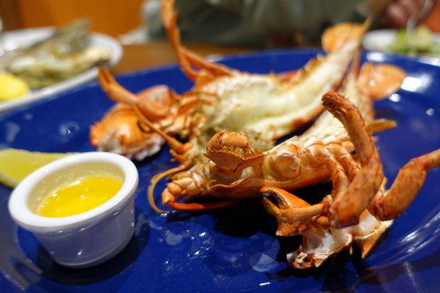 f:id:hiro-life:20250317123631j:image