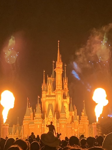 f:id:hiro-loglog:20181120224557j:plain