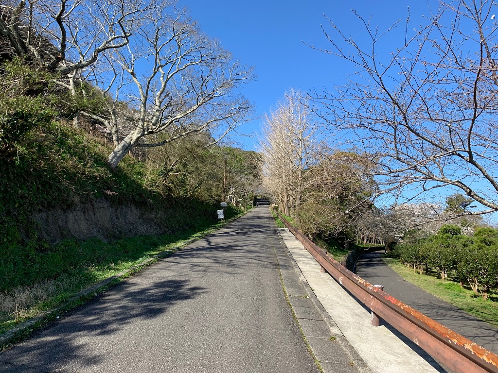 f:id:hiro-loglog:20200322075900j:plain f:id:hiro-loglog:20200322075900j:plain