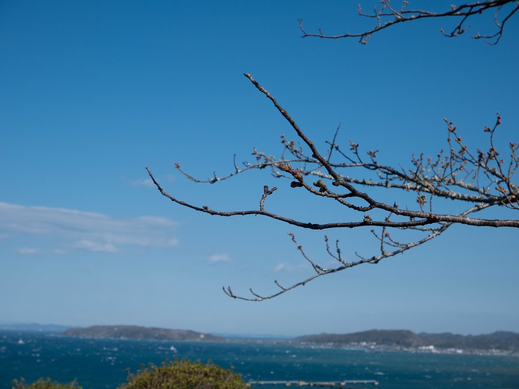 f:id:hiro-loglog:20200322080037j:plain f:id:hiro-loglog:20200322080037j:plain