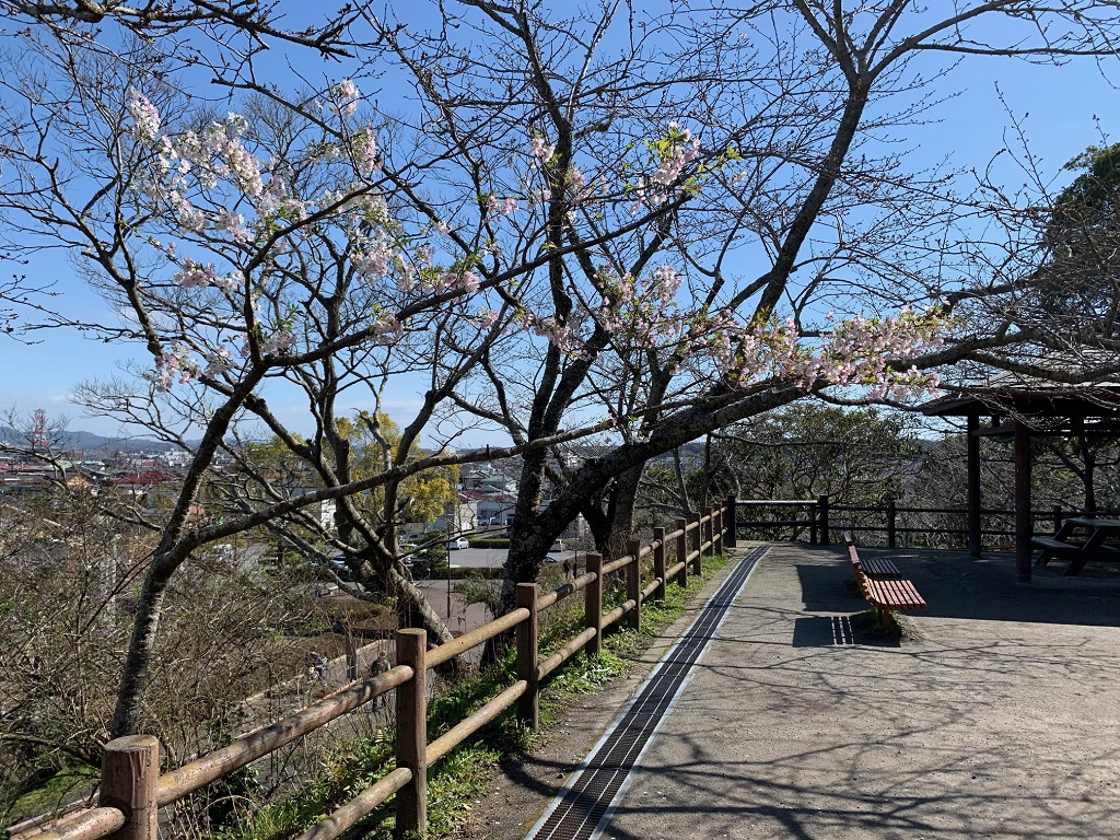 f:id:hiro-loglog:20200322080059j:plain f:id:hiro-loglog:20200322080059j:plain