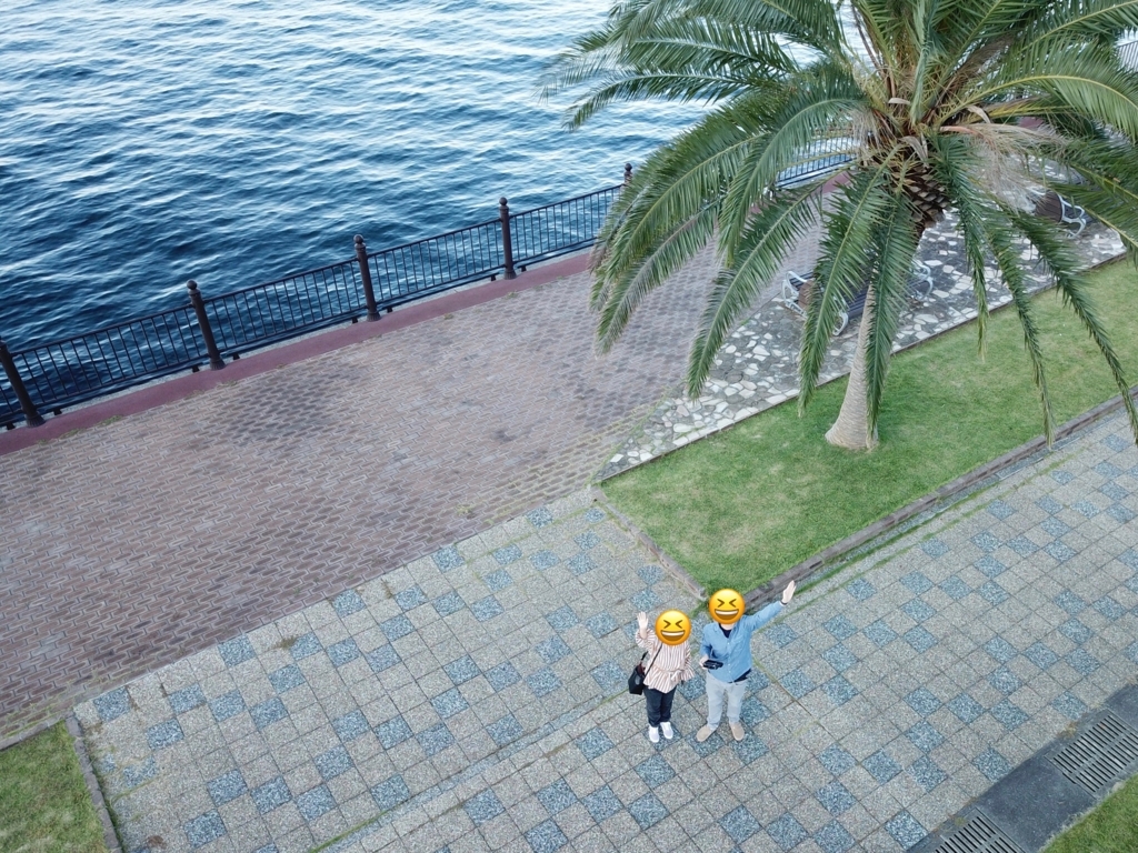 f:id:hiro-maki:20180820074314j:plain f:id:hiro-maki:20180820074314j:plain