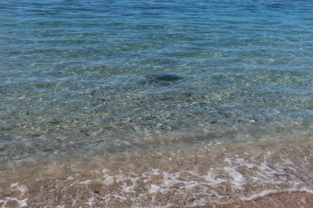 f:id:hiro-maki:20180827221445j:plain f:id:hiro-maki:20180827221445j:plain