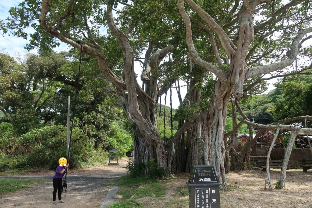 f:id:hiro-maki:20180827223521j:plain f:id:hiro-maki:20180827223521j:plain