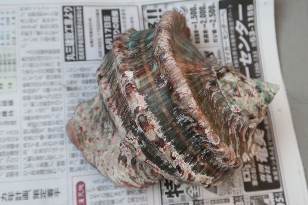 f:id:hiro-maki:20181004220404j:plain