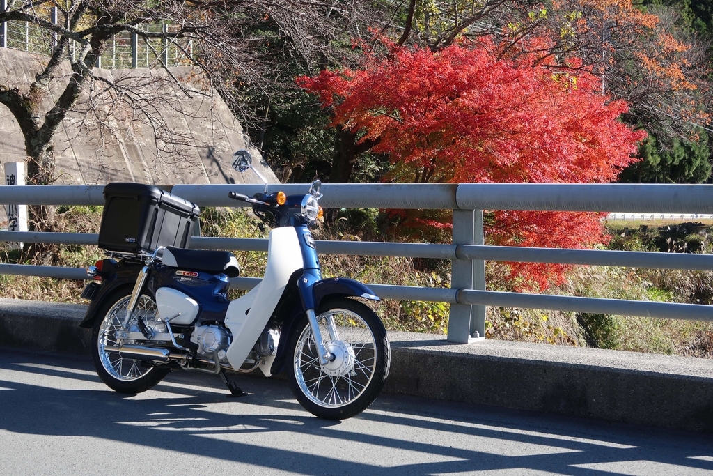スーパーカブ110 Ja44 のリアボックス紹介 外観のかっこよさとコスパのバランスが丁度いいホムセン箱 ヒロログ