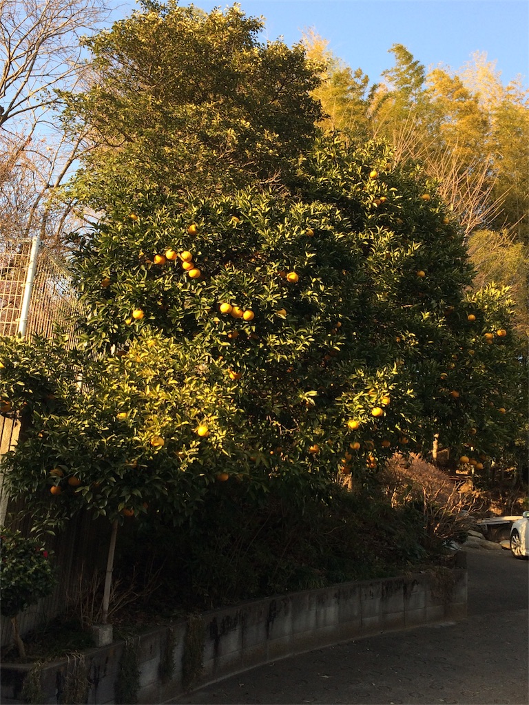 f:id:hiro-p75115:20170128175120j:image f:id:hiro-p75115:20170128175120j:image
