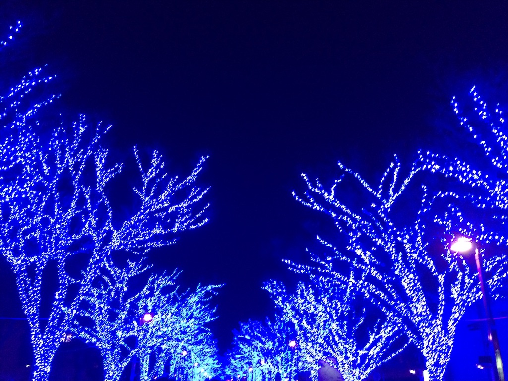 f:id:hiro-p75115:20170201123210j:image f:id:hiro-p75115:20170201123210j:image