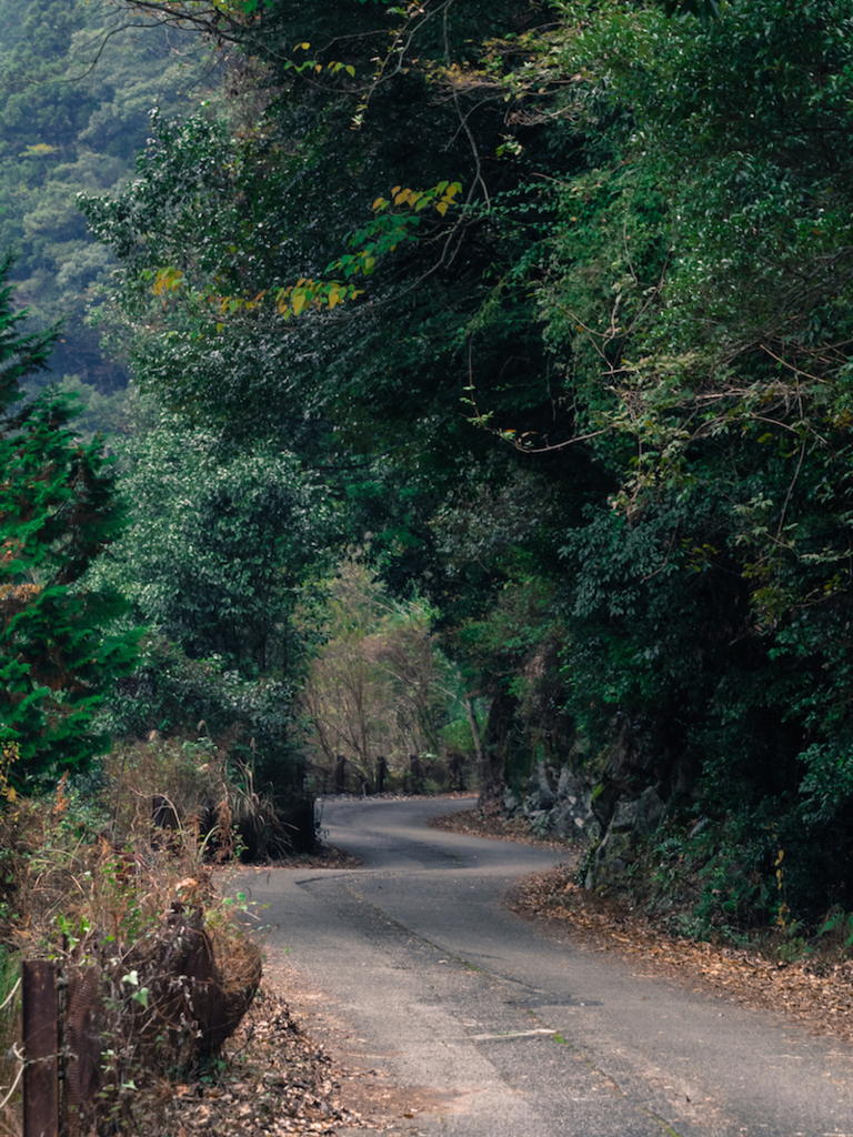 f:id:hiro-ride:20161201001317j:plain 黒尊川