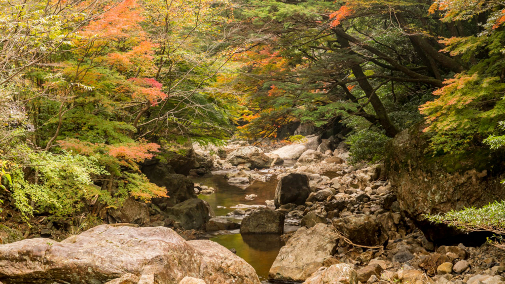 f:id:hiro-ride:20161201001431j:plain 黒尊川