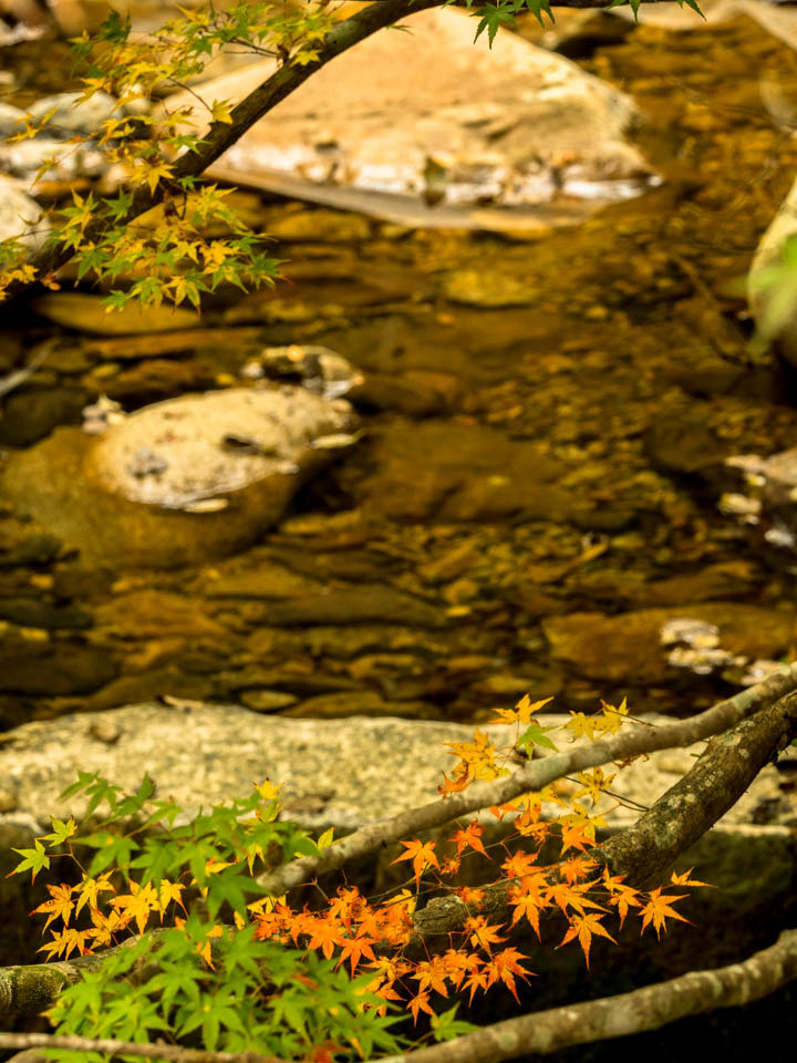 f:id:hiro-ride:20161201001636j:plain f:id:hiro-ride:20161201001636j:plain