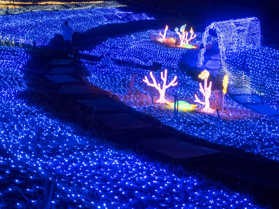 高知県幡多郡大月町の 「コーラルイルミネーション in Otsuki
