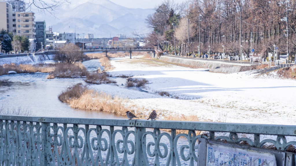 f:id:hiro-ride:20170115000543j:plain f:id:hiro-ride:20170115000543j:plain