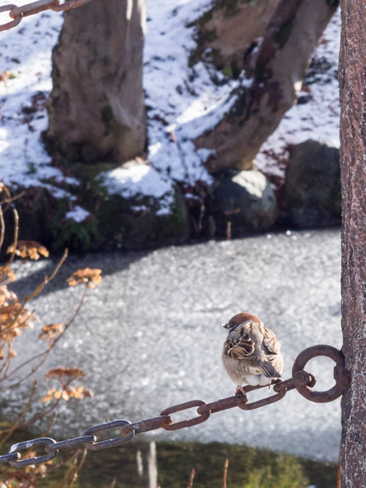 f:id:hiro-ride:20170115000553j:plain f:id:hiro-ride:20170115000553j:plain