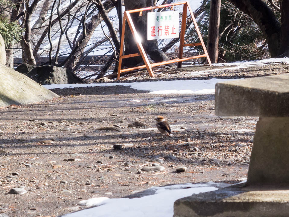 f:id:hiro-ride:20170115000645j:plain f:id:hiro-ride:20170115000645j:plain