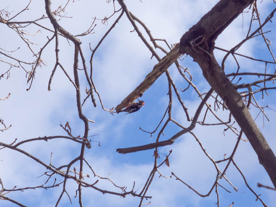 f:id:hiro-ride:20170115000702j:plain