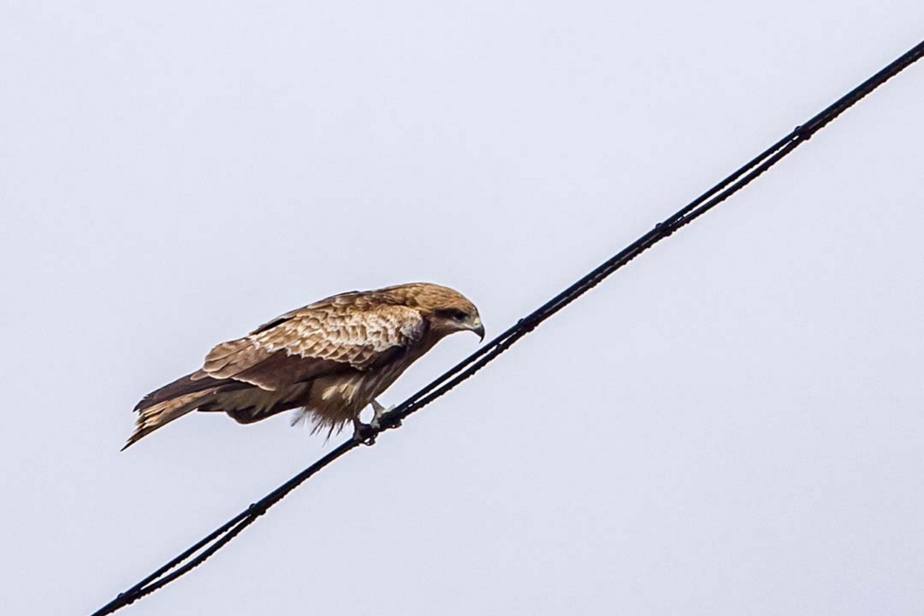 f:id:hiro-ride:20170216001231j:plain