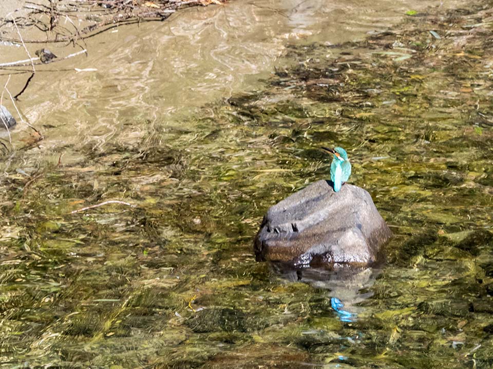 f:id:hiro-ride:20170216001241j:plain