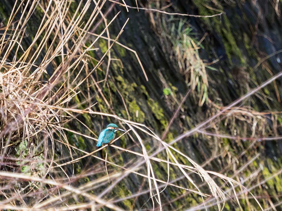 f:id:hiro-ride:20170216001245j:plain